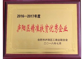 安徽云顶集团投资集团荣获2016-2017年度庐阳区精准扶贫优秀企业称号