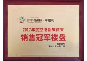 云顶集团幸福城荣获2017年度空港新城商业销售冠军楼盘